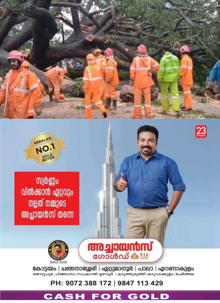*കോട്ടയം ചുങ്കം പാലത്തിനു സമീപം നിന്ന വൻ മരം കടപുഴകി റോഡിലേക്ക് വീണു*