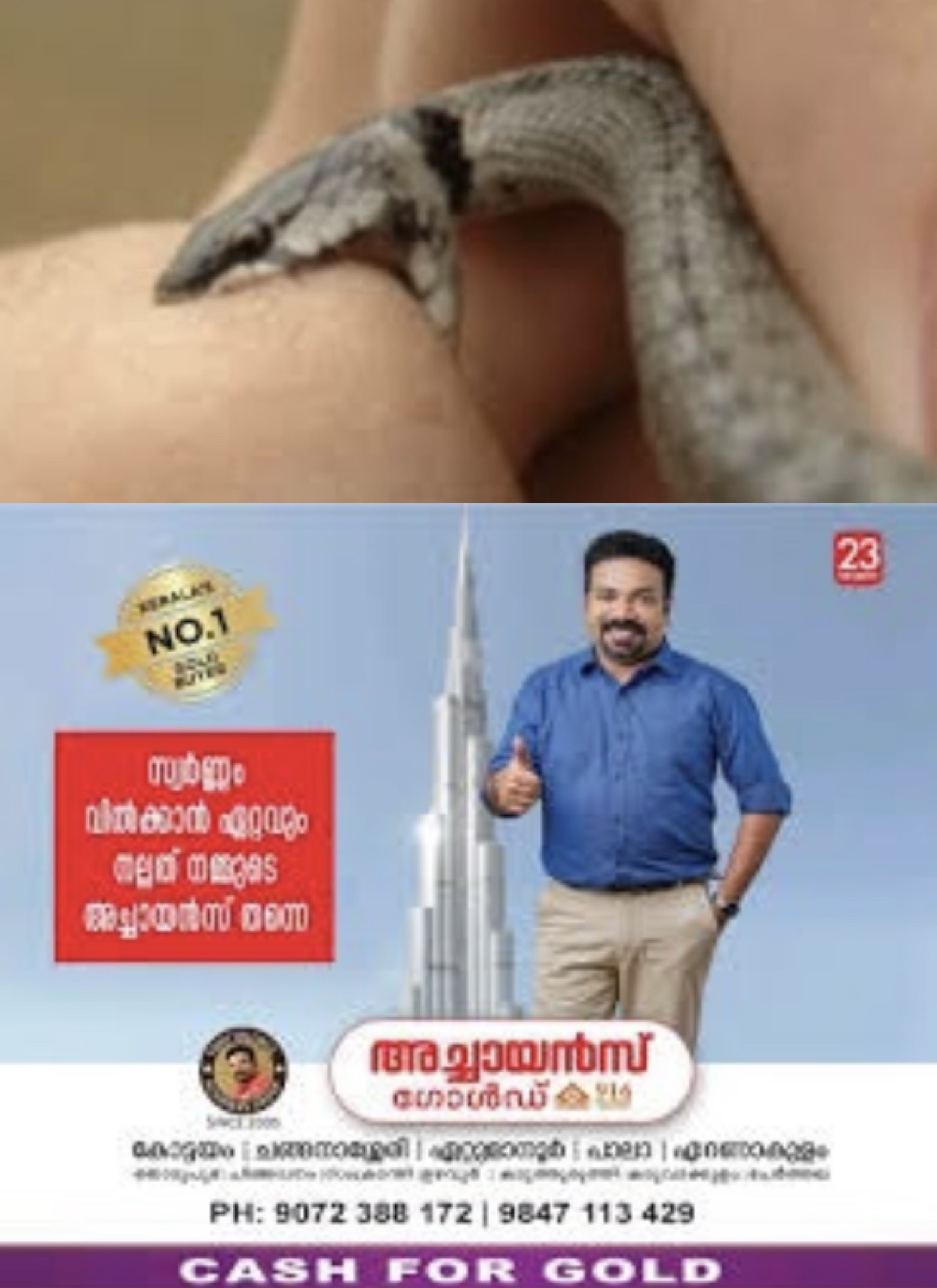 ആലപ്പുഴയിൽ പാമ്പ് കടിയേറ്റ് ചികിത്സയിലായിരുന്ന യുവതി മരിച്ചു