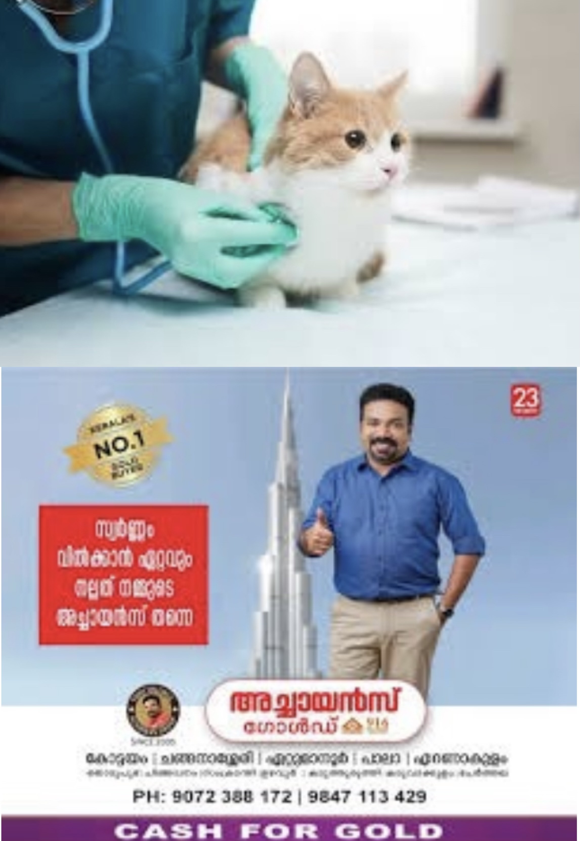വെറ്ററിനറി ഡോക്ടർ നിയമനം