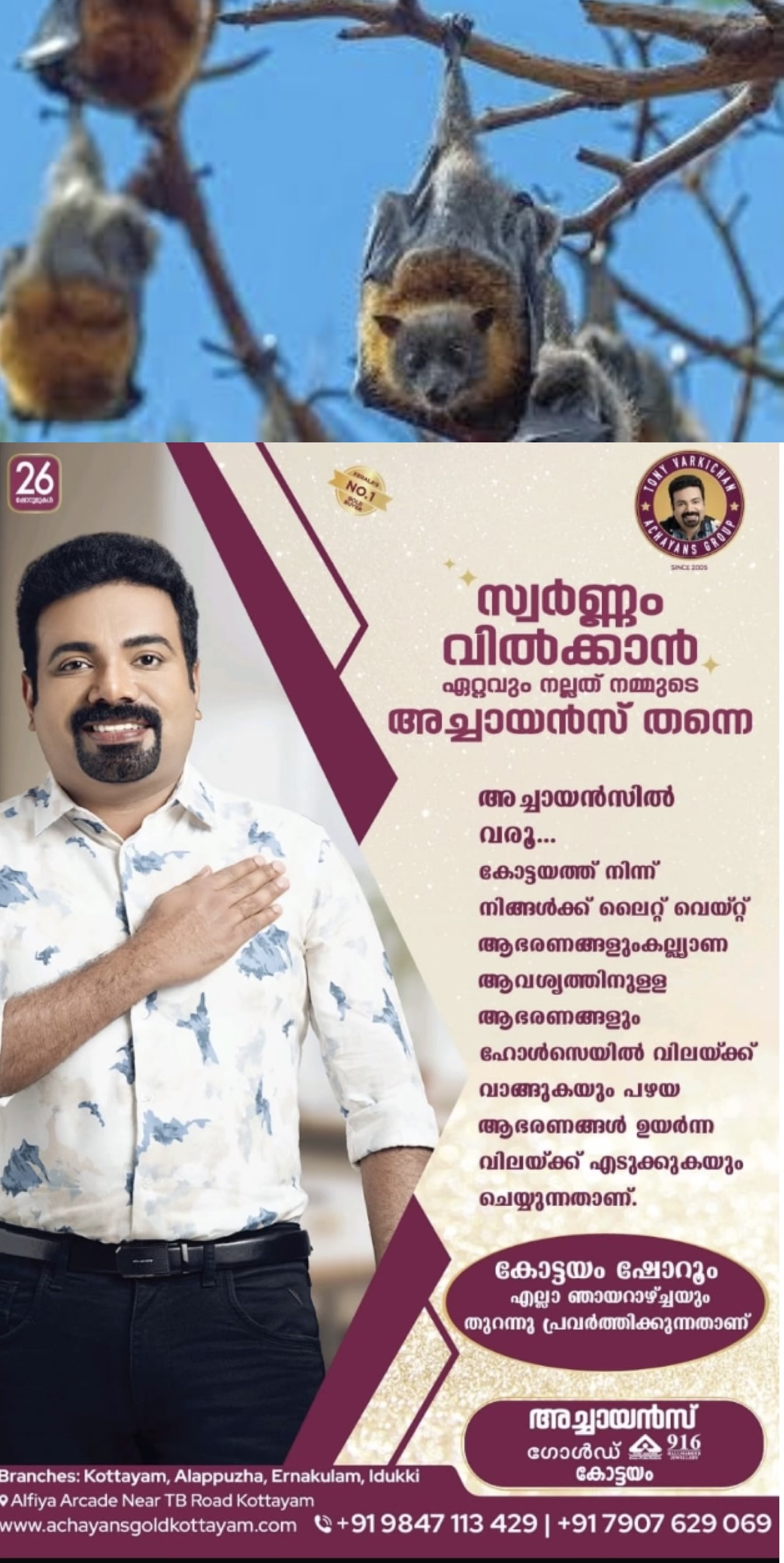 കോഴിയിറച്ചിയെന്ന വ്യാജേന വവ്വാല്‍ മാംസം വിറ്റ സംഭവത്തില്‍ രണ്ടുപേര്‍ അറസ്റ്റില്‍