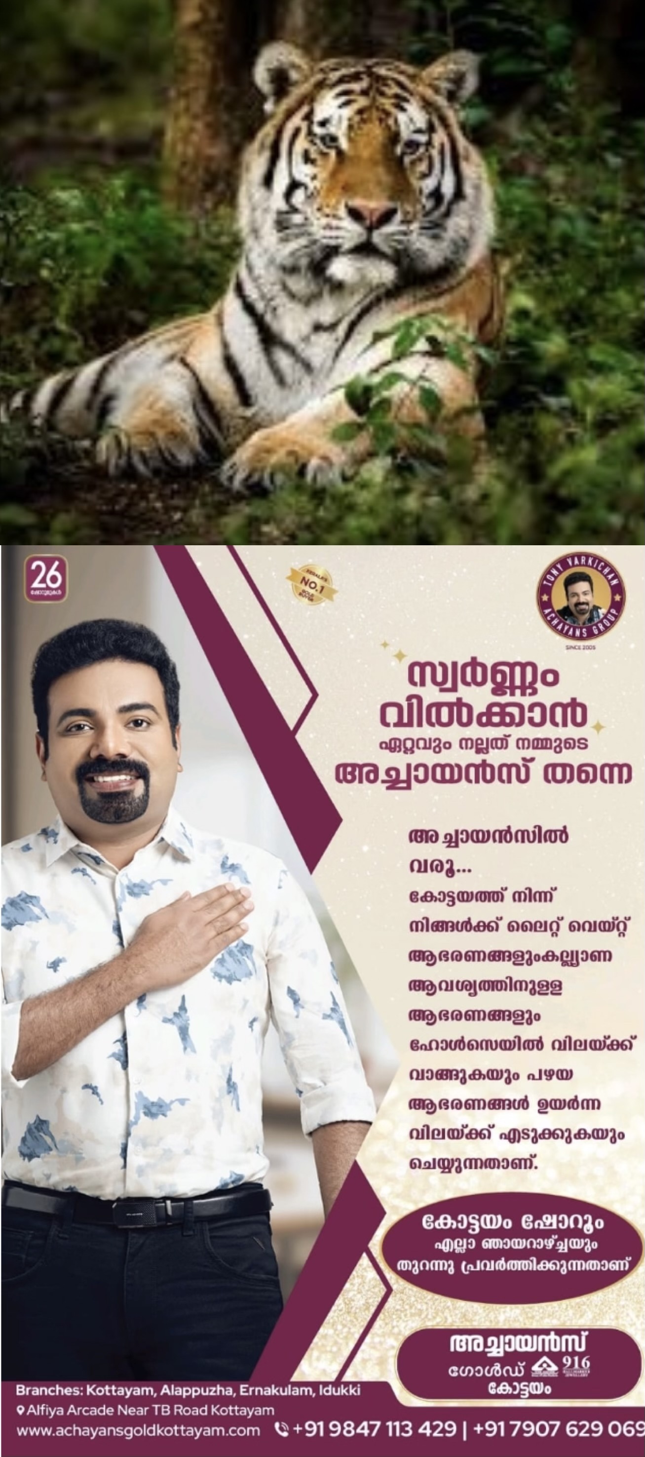 ജൂലൈ 29 അന്താരാഷ്ട്ര കടുവ ദിനം