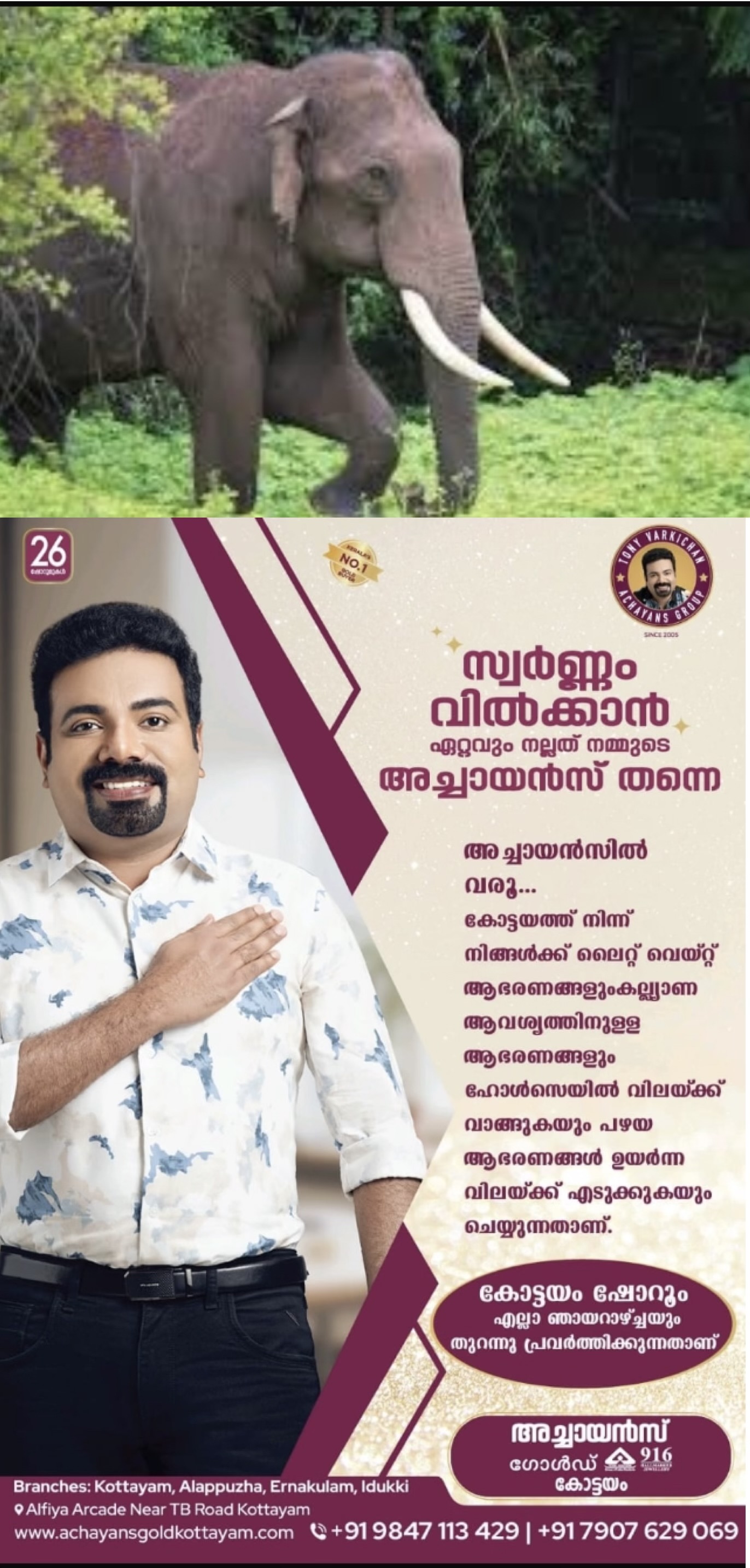 കാട്ടാനയുടെ ആക്രമണത്തിൽ ടാപ്പിംഗ് തൊഴിലാളി കൊല്ലപ്പെട്ടു