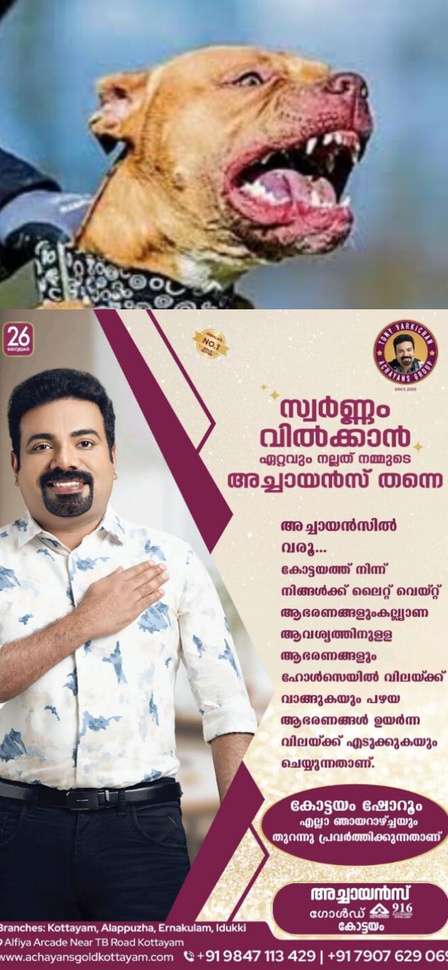 *ഏഴുവയസുകാരിയെ പിറ്റ്ബുൾ നായ ആക്രമിച്ചു*