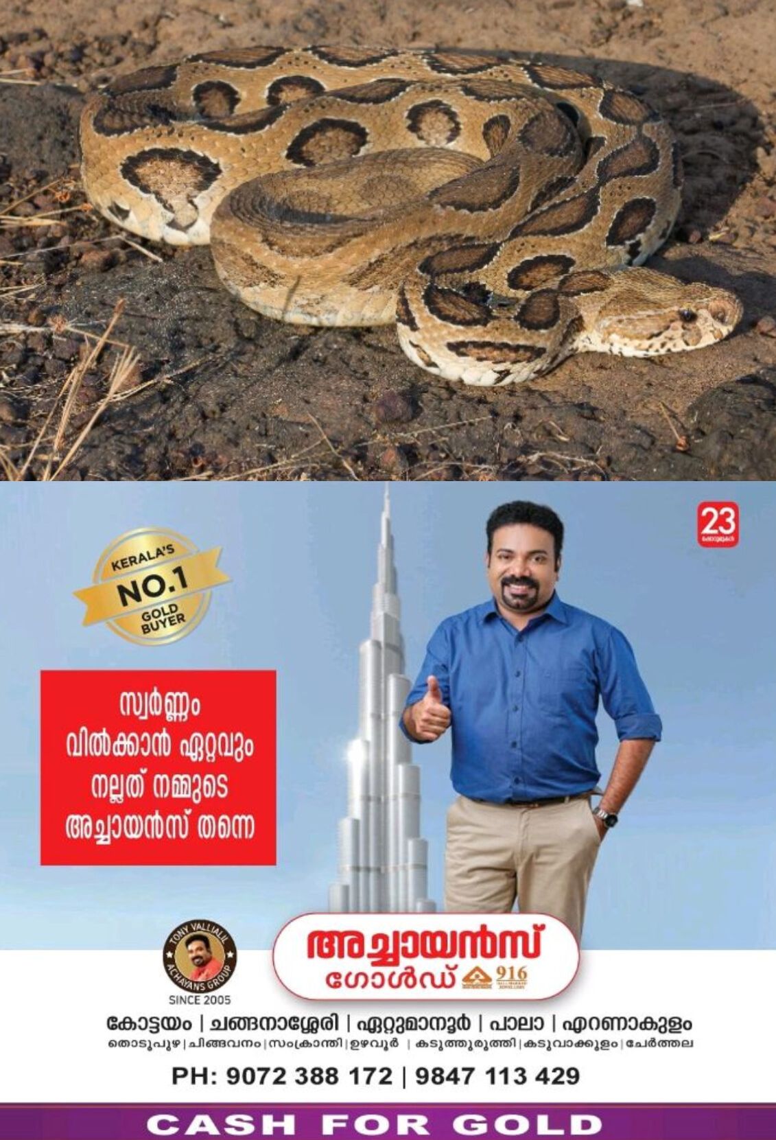 *അങ്കണവാടിയില്‍ മൂന്നുവയസ്സുകാരിയുടെ ദേഹത്തേക്ക് അണലി വീണു*