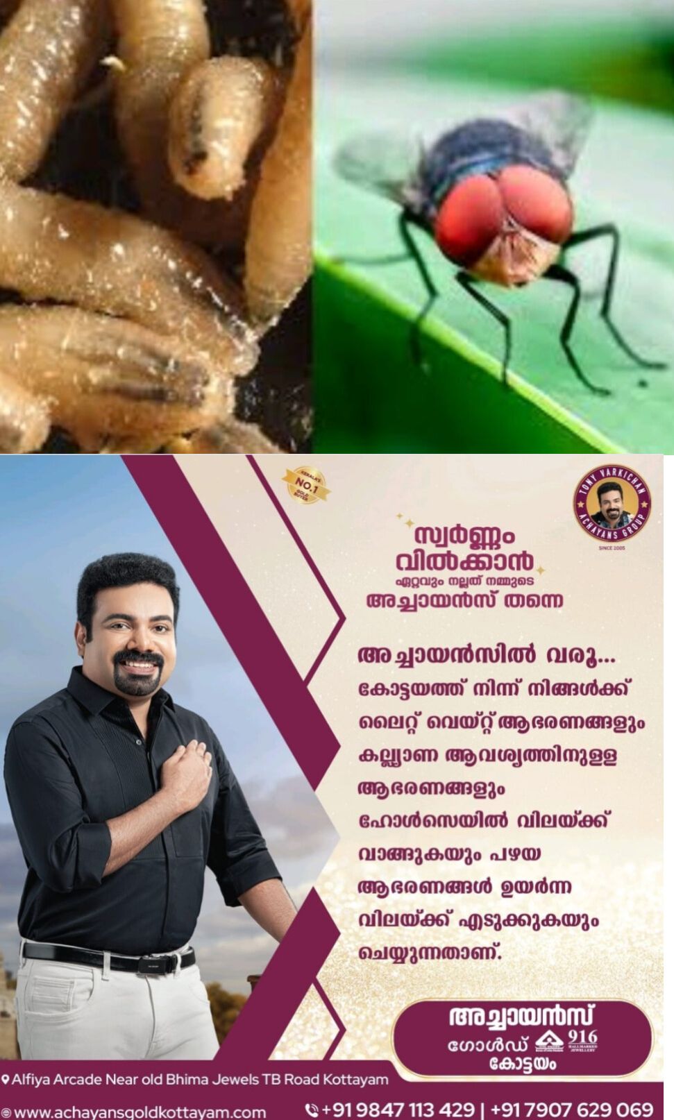 *മാംസം  ഭക്ഷിക്കുന്ന സ്ക്രൂവേം പരാദ ബാധ മനുഷ്യനിൽ സ്ഥിരീകരിച്ചു*