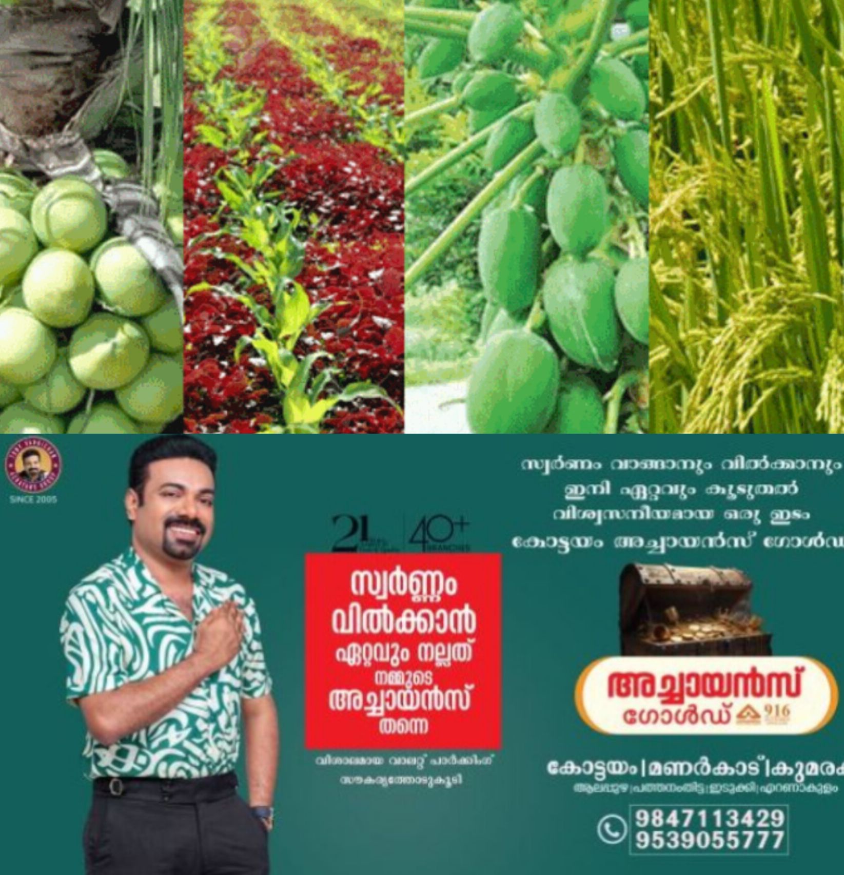 *ഹോർട്ടികൾച്ചർ മേഖലയിലെ പ്രോജക്ടുകൾക്കായി അപേക്ഷ ക്ഷണിച്ചു*