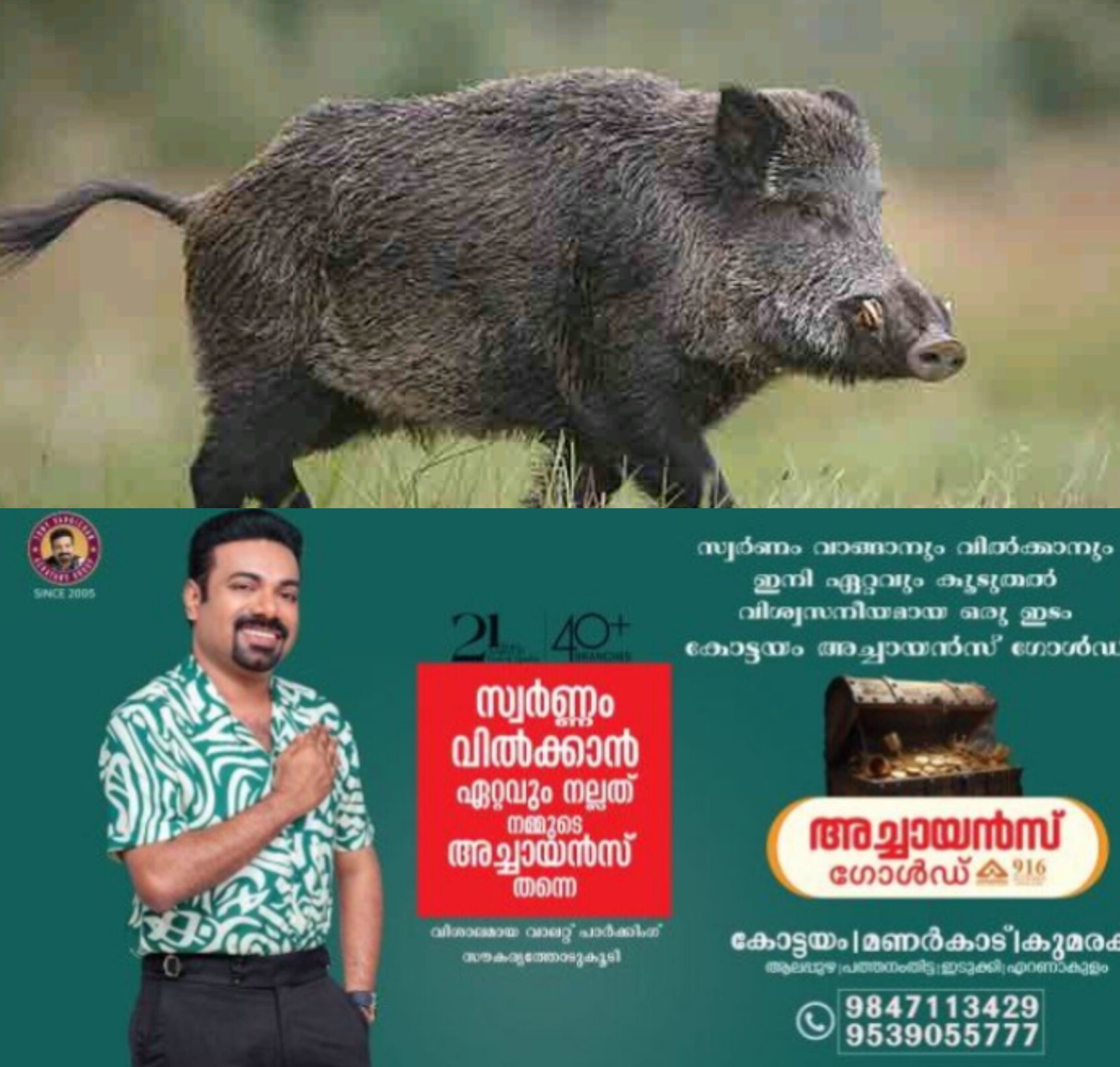 *കാട്ടുപന്നി ആക്രമണത്തിൽ 9കാരിക്ക് ഗുരുതര പരിക്ക്*