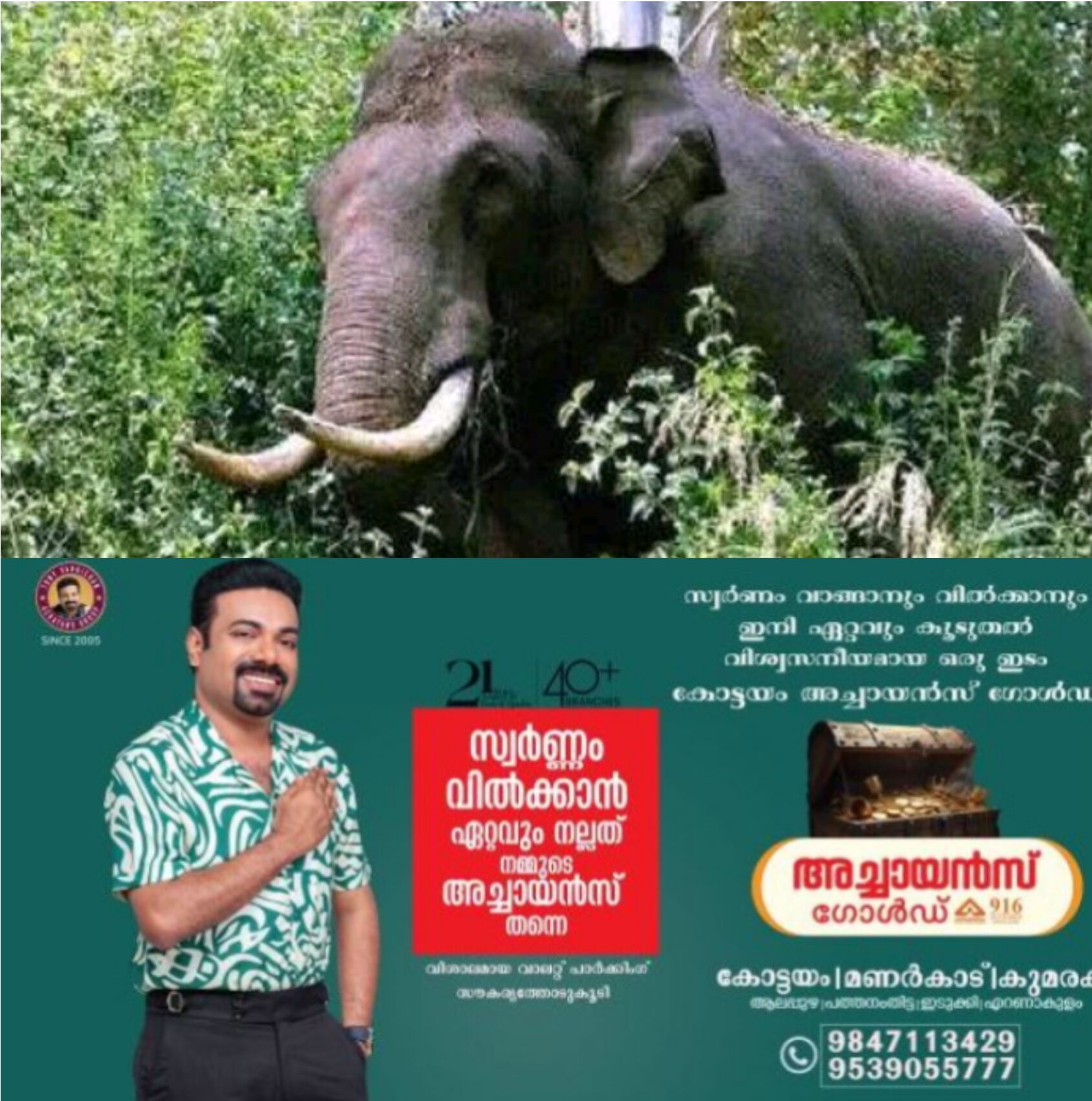 *കാട്ടാനയുടെ ആക്രമണത്തില്&zwj; ഫോറസ്റ്റ് വാച്ചര്&zwj; മരിച്ചു*