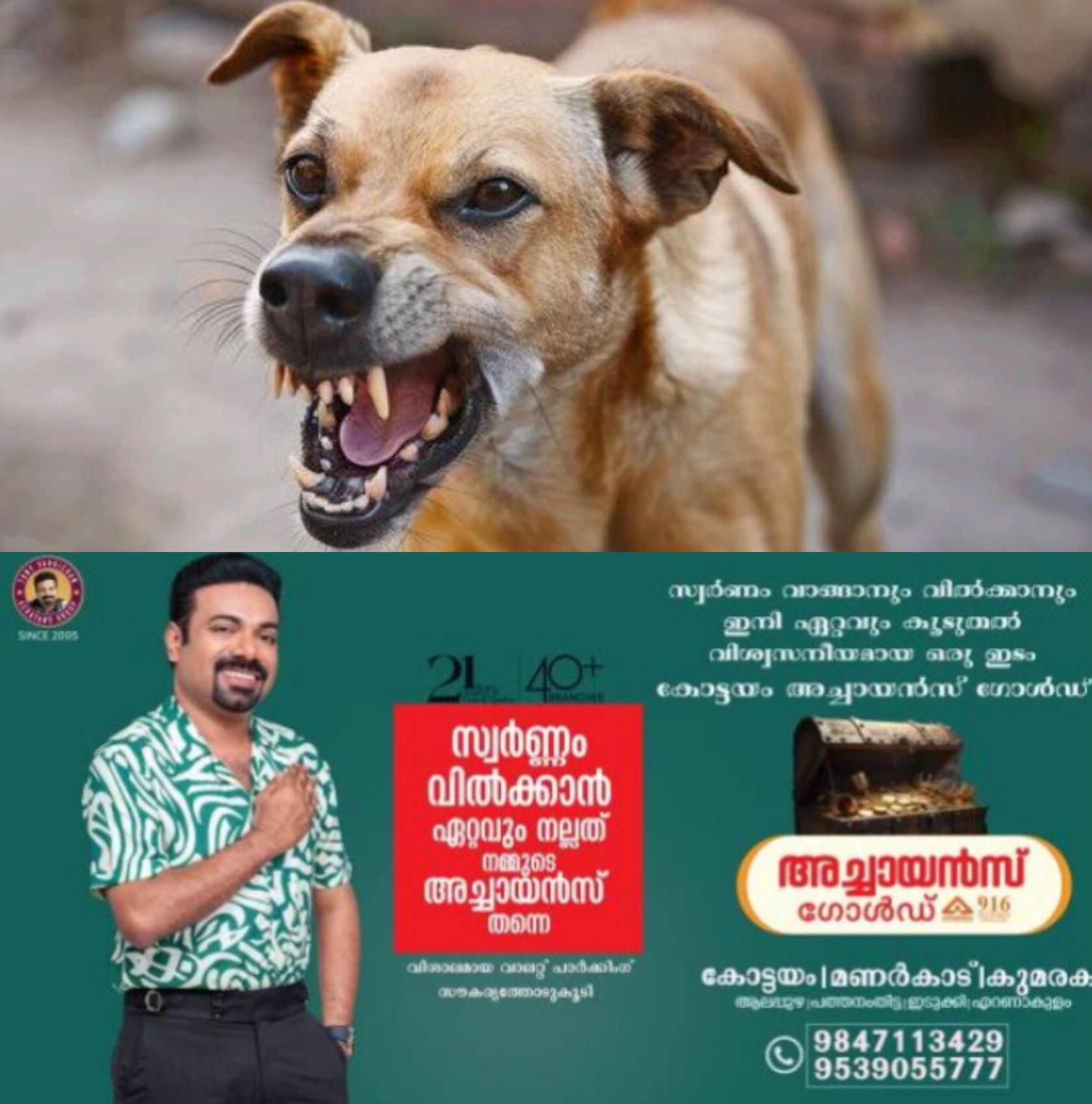 *വീടിനകത്ത് കയറി തെരുവുനായയുടെ ആക്രമണം; കിടപ്പുരോഗിയായ വയോധികയ്ക്ക് ദാരുണാന്ത്യം*