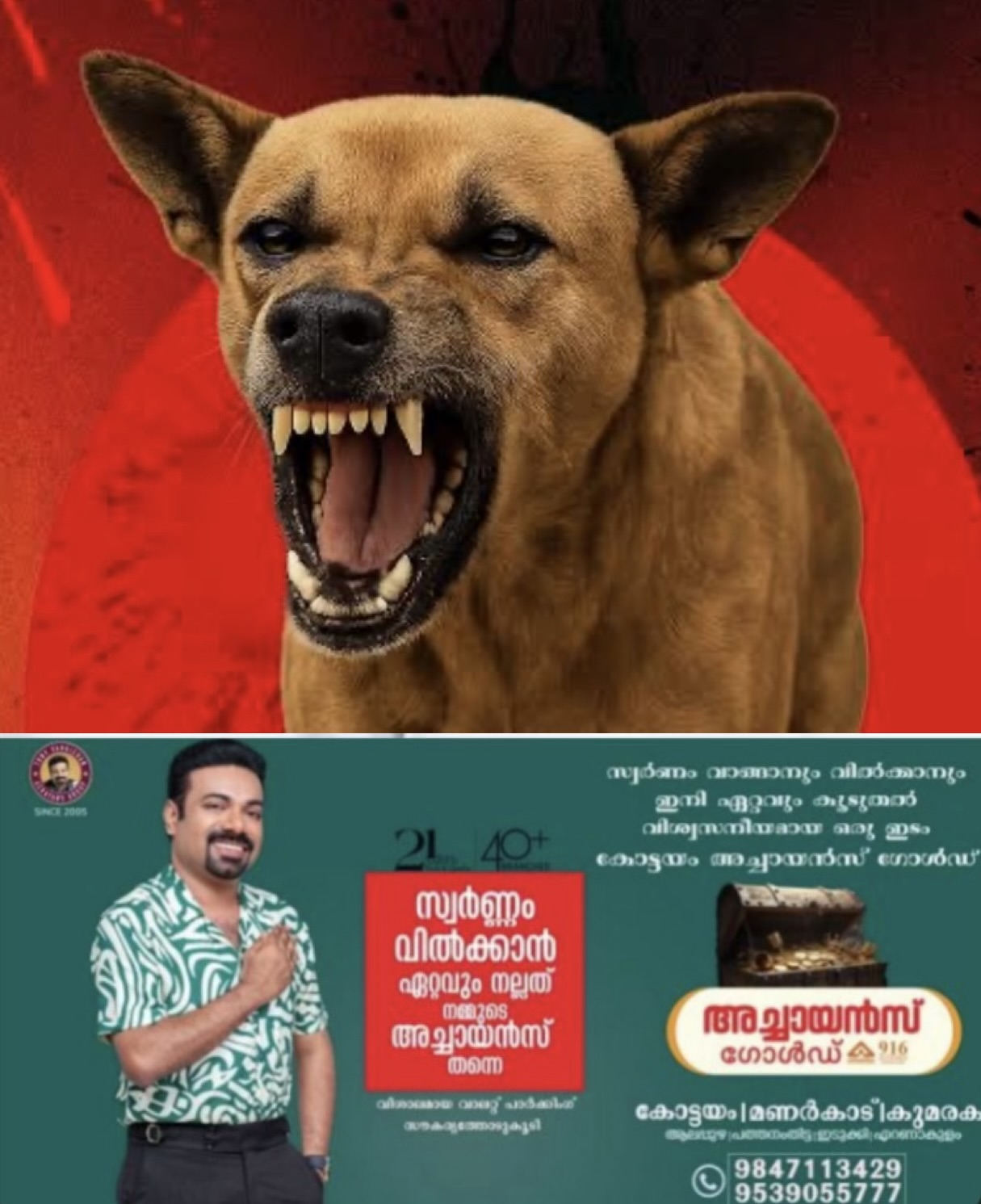 കോട്ടയം തിരുവഞ്ചൂർ നായയുടെ ആക്രമണം ഒൻപതു പേർക്ക് കടിയേറ്റു